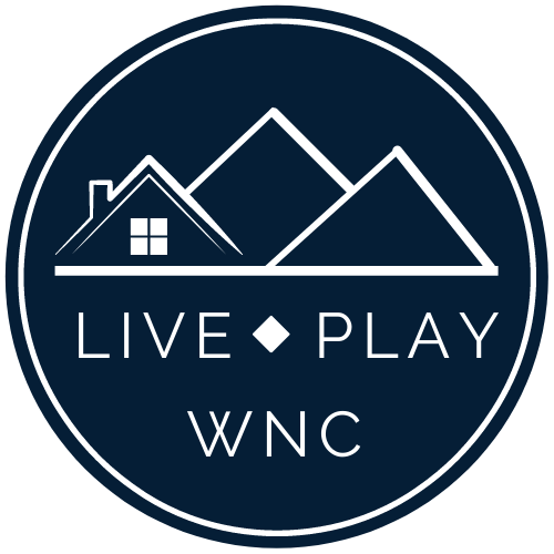 Live Play WNC Icon