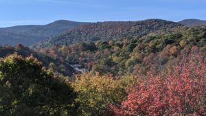 Best Fall Drives in WNC for Leaf Peeping